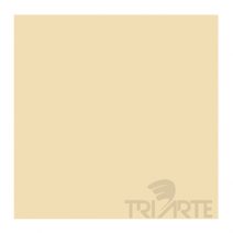 TVPH 015559- ESMALTE EM PASTA HIDROSSOLÚVEL P/VIDRO BEGE ST