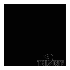 TVPH 3780- ESMALTE EM PASTA HIDROSSOLÚVEL P/VIDRO PRETO PLENO INTENSO