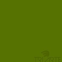 TVP 6700- ESMALTE P/VIDRO EM PASTA VERDE AURORA