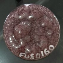 FUS 0160- ESMALTE P/FUSING MARROM METALIZADO EFEITO BOLHA