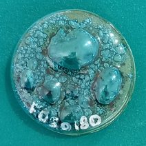 FUS 0180- ESMALTE P/FUSING VERDE CANCUN EFEITO BOLHA