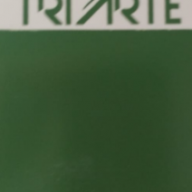 TRPO 104-SOBRE ESMALTE P/PORCELANA VERDE MANAUS