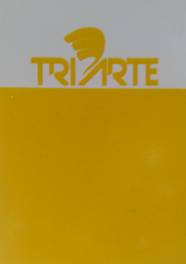 TRPO 14101-SOBRE ESMALTE P/PORCELANA AMARELO CÁDMIO