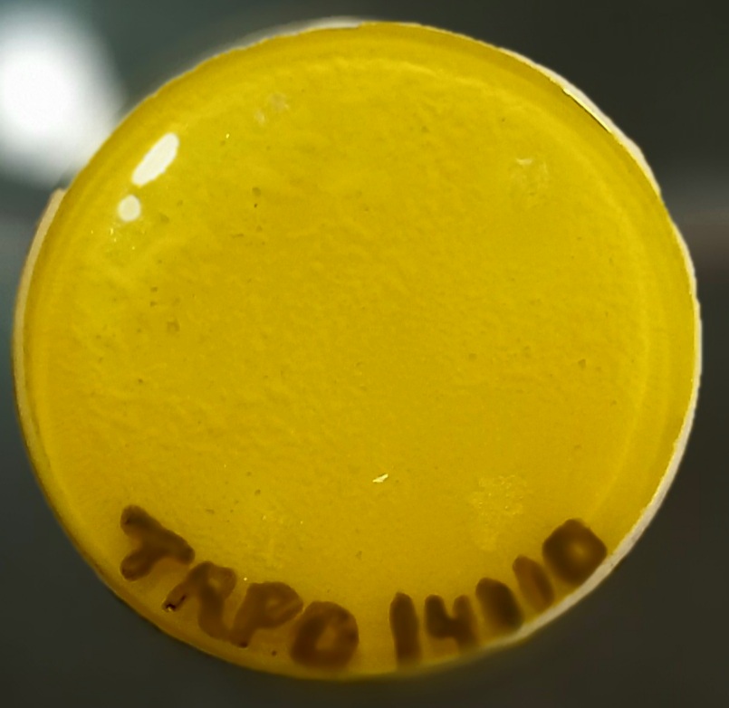 TRPO 14110-SOBRE ESMALTE P/PORCELANA AMARELO CANÁRIO - Imagem 2