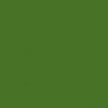 TVPL 6669- ESMALTE EM PASTA P/VIDRO VERDE-LABORATÓRIO