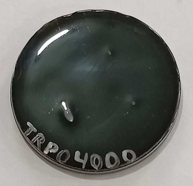 TRPO 4000-SOBRE ESMALTE P/PORCELANA PRETO INTENSO - Imagem 2