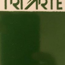 TRPO 60163-SOBRE ESMALTE P/PORCELANA VERDE MUSGO