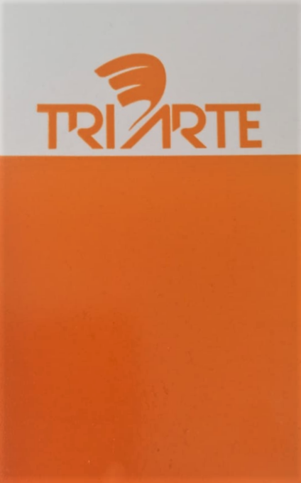 TRPO 704-SOBRE ESMALTE P/PORCELANA LARANJA IPANEMA
