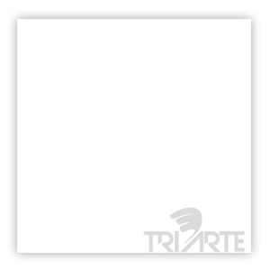 TRPO 9610-SOBRE ESMALTE P/PORCELANA BRANCO INTENSO
