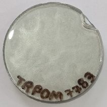 TRPOM 7783-SOBRE ESMALTE P/PORCELANA PRATA METALIZADO ACETINADO