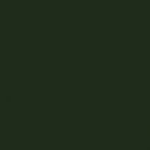 TVF 6567- ESMALTE P/VIDRO VERDE ESCURO
