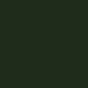 TVF 6567- ESMALTE P/VIDRO VERDE ESCURO