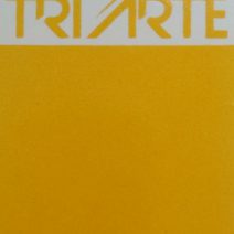 TRPO 307-SOBRE ESMALTE P/PORCELANA AMARELO MANGA