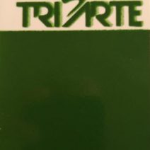 TRPO 16539- SOBRE ESMALTE P/PORCELANA VERDE ALFACE